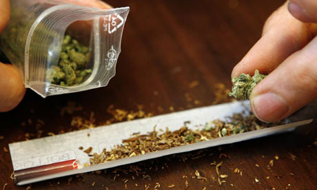 U kući 27-godišnjaka pronađeno 470 grama marihuane