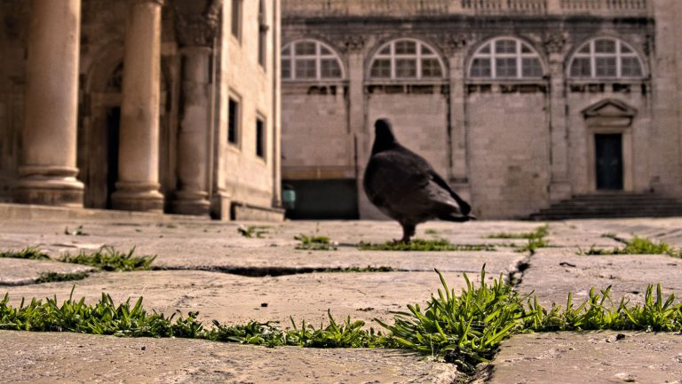 FOTO: Zanimljiva pojava ispred Kneževog dvora, prizori koje ćemo pamtiti…