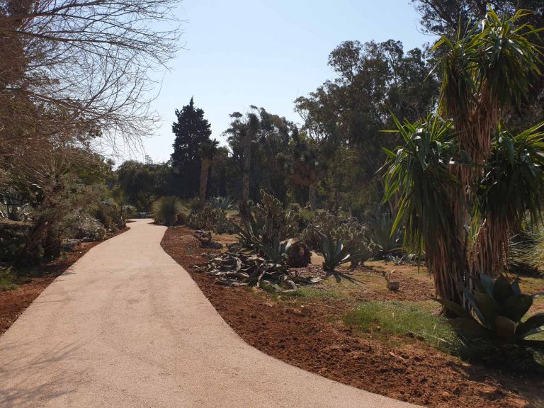 DUGI NIZ GODINA BIO U STAGNACIJI: Obnovljen Botanički vrt na Lokrumu