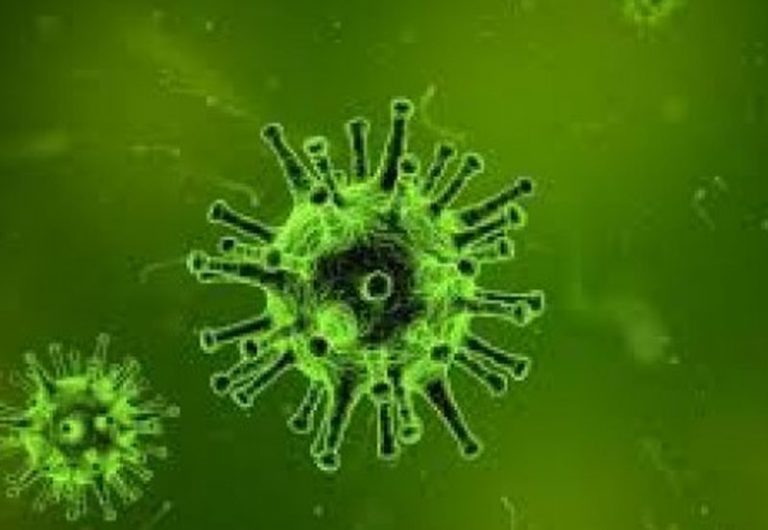 Globalni odgovor na koronavirus: prikupljeno 7,4 milijardi eura za univerzalan pristup cjepivima
