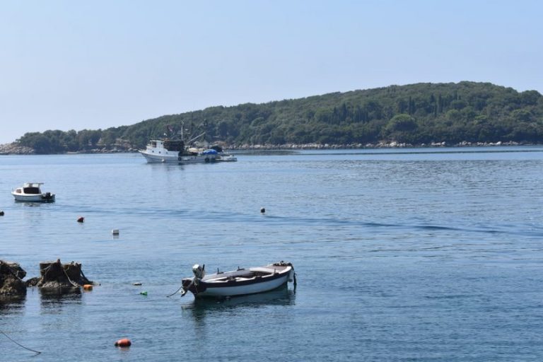 POZIV LJUDIMA DOBRE VOLJE Akcija čišćenja Molunta i Prevlake