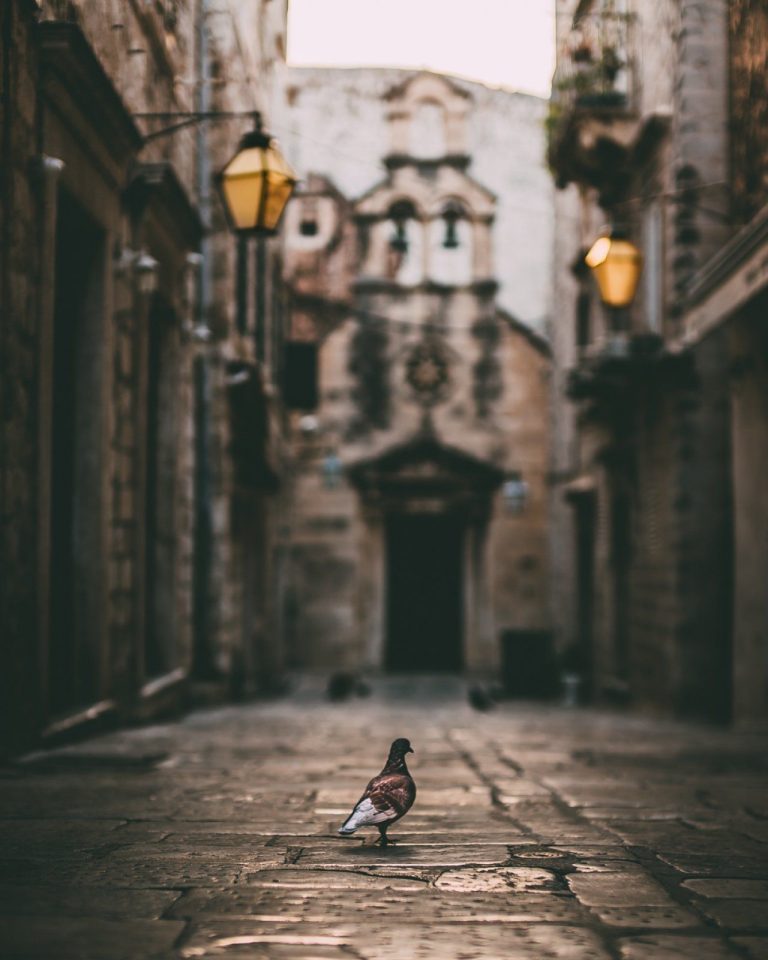 Prekrasne fotografije hrvatskih županija – našu je predstavljao Sandro Erceg