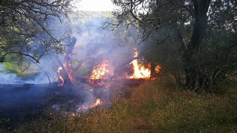 POLICIJA POZIVA NA OPREZ U dva dana pet požara, četiri uzrokovana nemarom