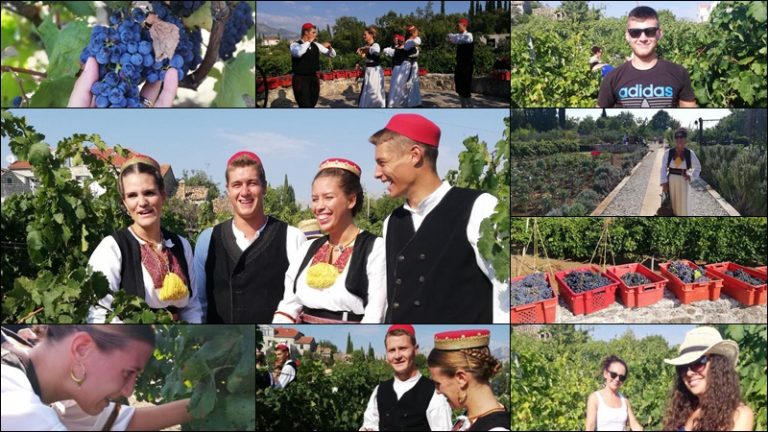 FOTO: Prekrasan dan za tradicionalno trganje u Konavlima!