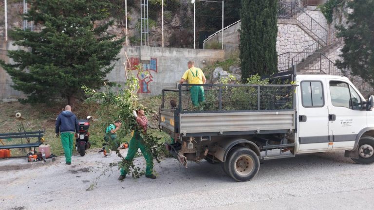 KAD SE MALE RUKE SLOŽE: Radna akcija u Zlatnom potoku