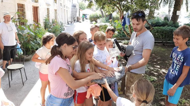 NOVI USPJEH LJETNE ŠKOLE FILMA  ŠIPAN: „Ljetna lektira“ najbolji igrani film na državnoj Reviji