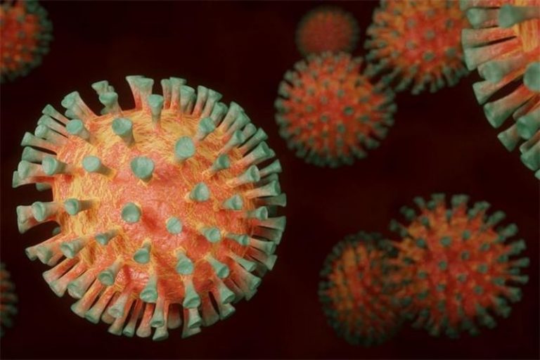 U DNŽ u posljednja 24 sata zabiljženo 29 novih slučajeva zaraze koronavirusom