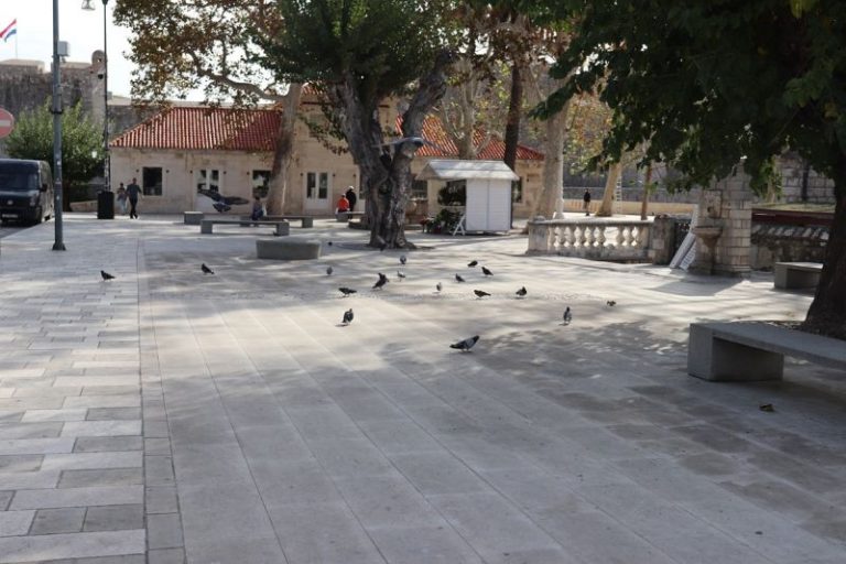 Vrtlar će od ponedjeljak orezivati krošnje platana na Brsaljama