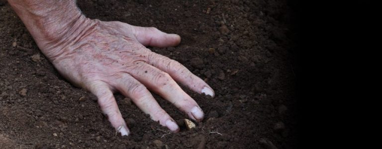 “Ovaj prijedlog zakona je skrojen prema mjeri lobija uvoznika sjemena, štetan je za domaće proizvođače”