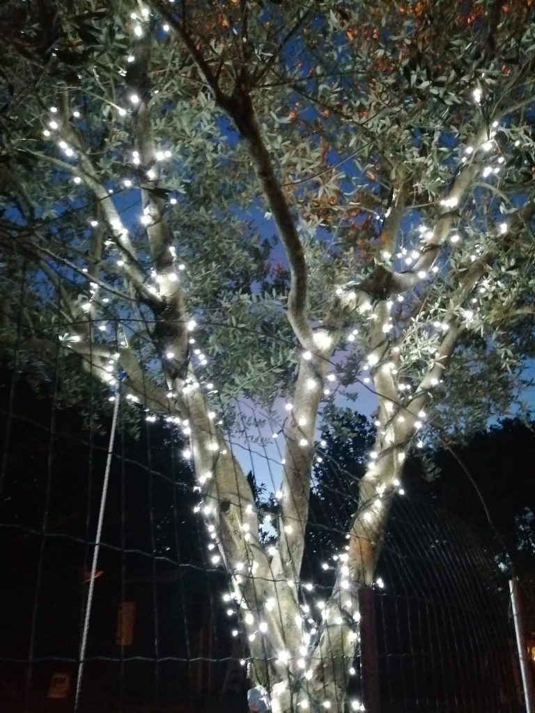 OZRAČJE BOŽIĆA: hvala na fotografijama, pogledajte nagrade koje čekaju najmaštovitije!