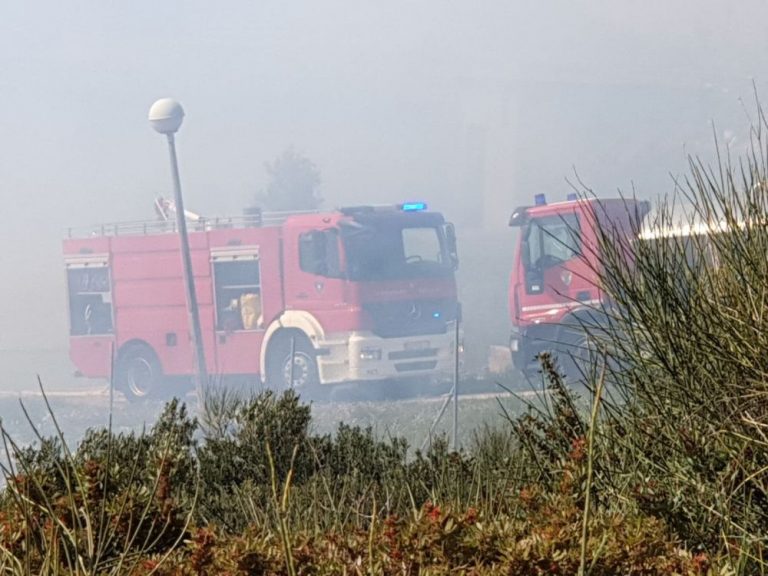 Gorjela trstika na Obodu