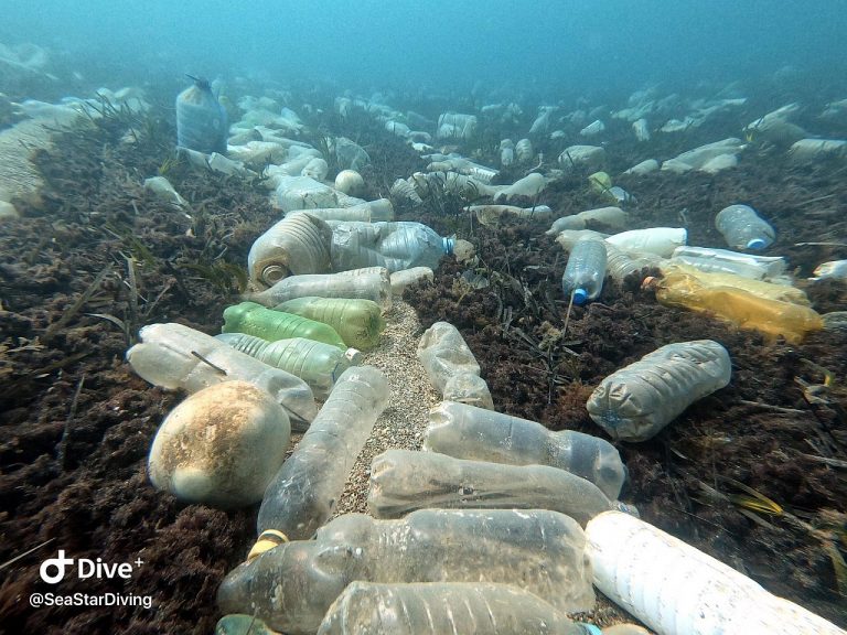 Albanska ministrica: Pokušavamo zaustaviti smeće koje more nosi u Hrvatsku