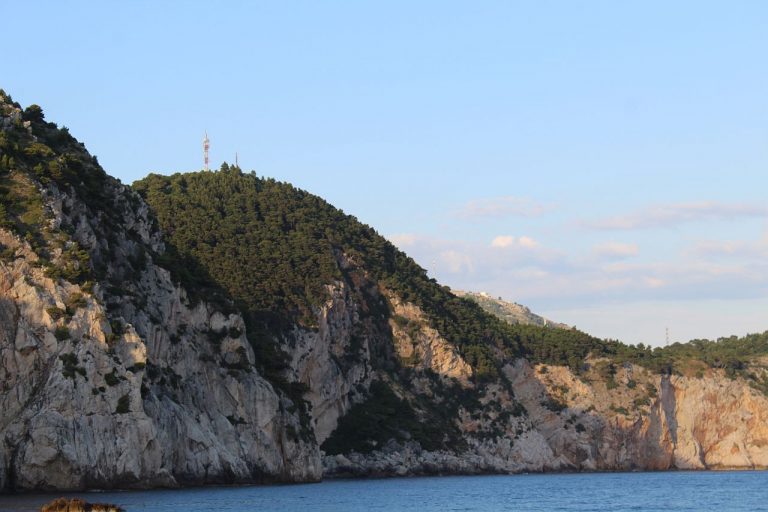 Požar makije i niskog raslinja na Petci