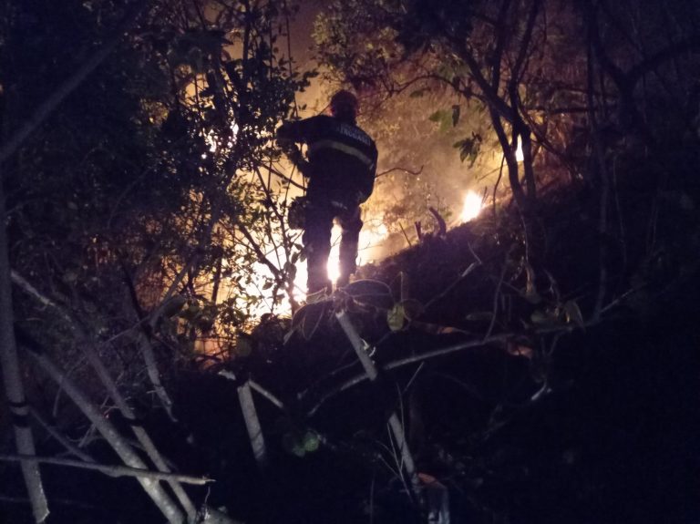 Brzom intervencijom Dubrovačkih vatrogasaca spriječeno širenje požara u Čajkovićima