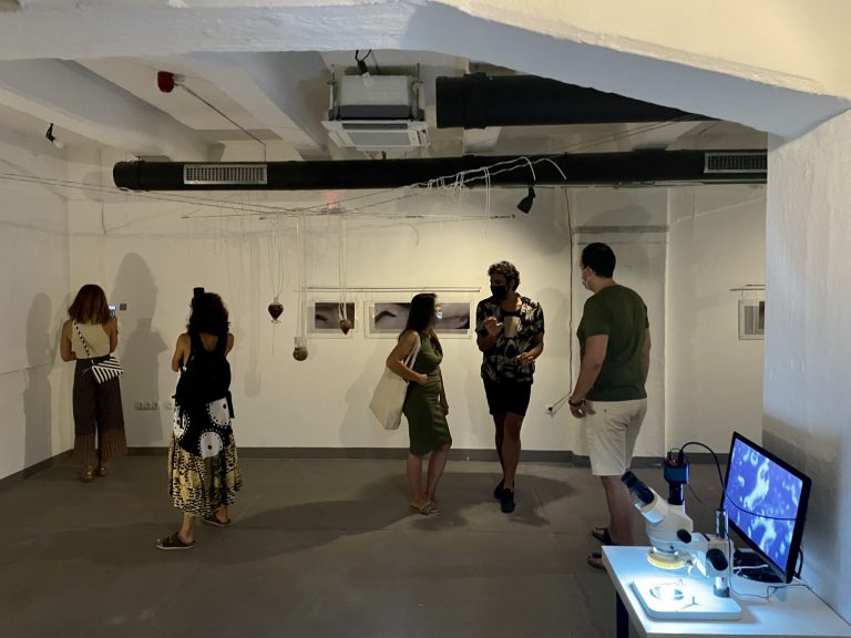 Bioart izložba: WOMBS Margherite Pevere u Centru za mlade