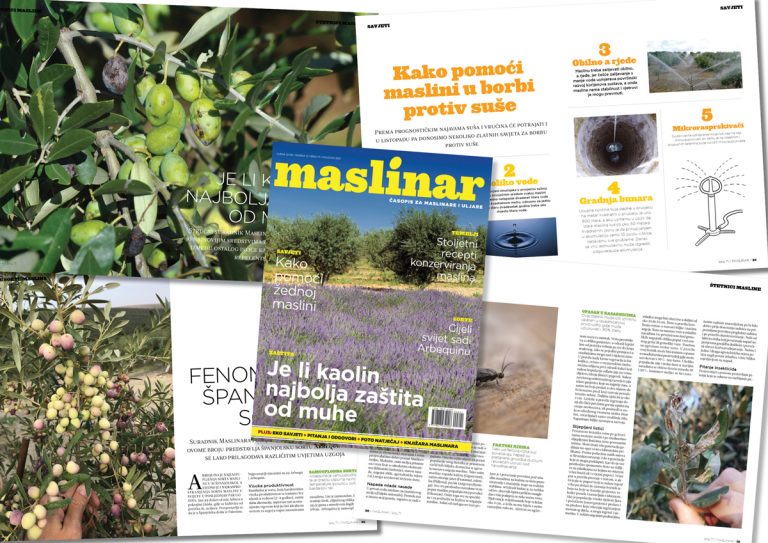 Maslinar za maslinare