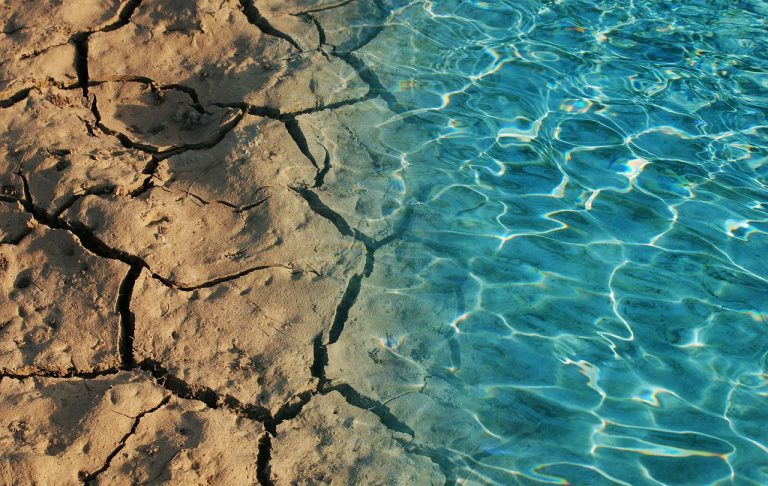 Sredozemno pretvara se u tropsko – klimatske promjene nisu budućnost, već sadašnjost