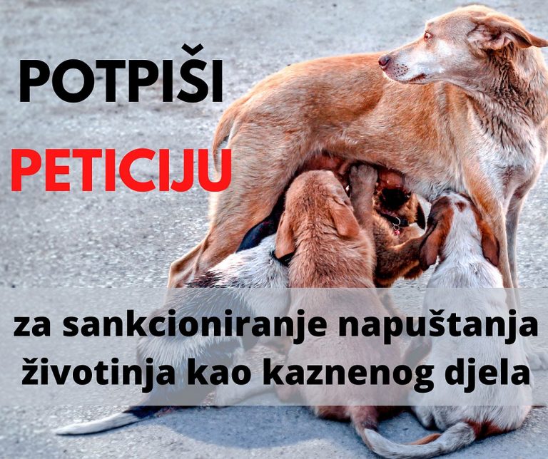 PRIJATELJI ŽIVOTINJA: Tražimo da se napuštanje životinja kažnjava zatvorom!