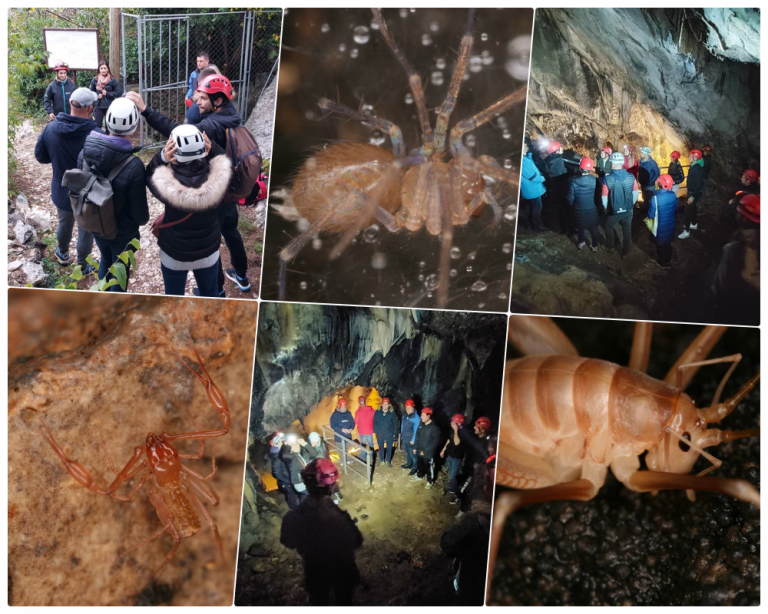 Obilazak spomenika prirode Špilja Šipun u Cavtatu