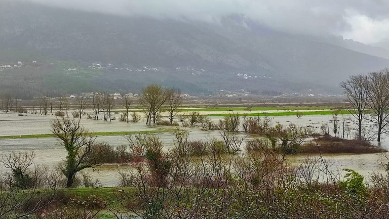 Konavosko polje poplavilo, rekordnih 205 litara kiše palo u Mokošici