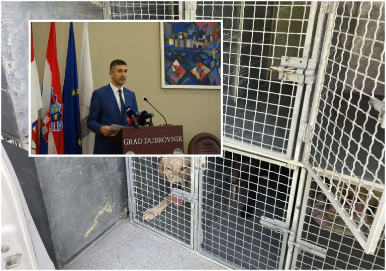 Franković objavio fotografije užasa, tvrdi kako Grad nije pokrenuo premještanje pasa