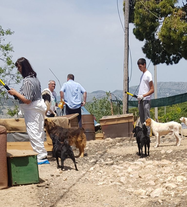 Sandra Sambrailo: Ponavlja se priča uz jake snage komunalaca, šintera, veterinarske inspekcije i policije