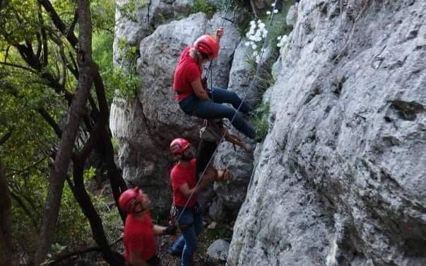 Gorski spašavatelji spasili psa koji je zapeo na litici u Konavlima