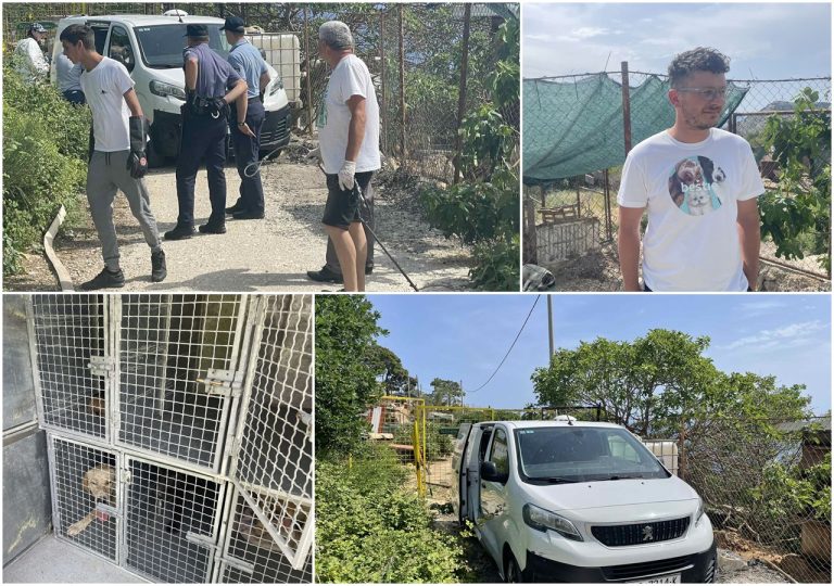 VIDEO/FOTO: Sa Žarkovice odvedeno 17 pasa u Kaštel Sućurac – Filipović: doživio sam apsolutni šok