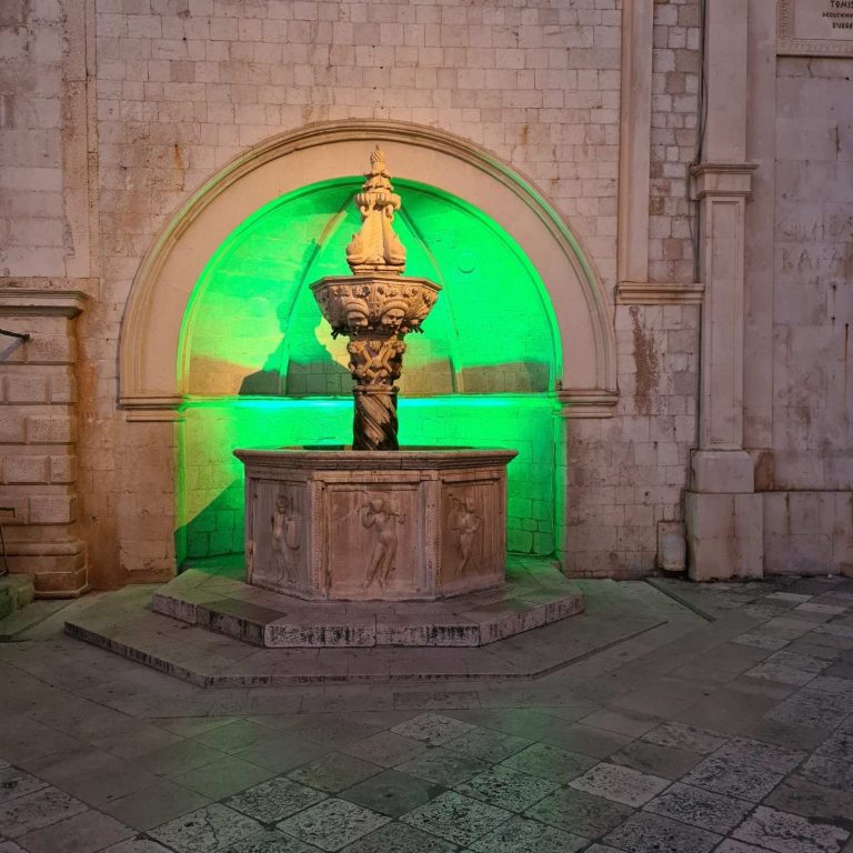 Dubrovnik se priključio obilježavanju Međunarodnog dana gastroshize
