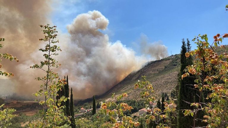 COPERNICUS: Tijekom proljeća na sjevernoj hemisferi zabilježeni značajni šumski požari, neki obarali rekorde