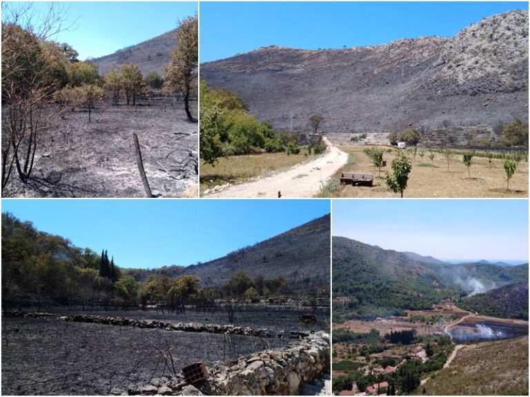 FOTO: Ovako danas izgleda požarište poviše Orašca