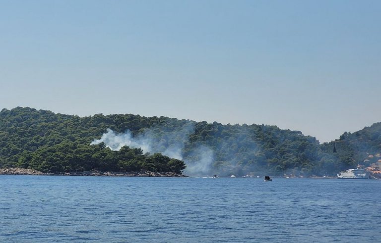 Buknuo požar u gustoj borovoj šumi kraj Suđurđa, brzom intervencijom je lokaliziran