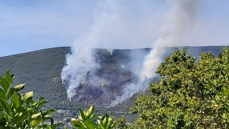 Požar je zatvorio crnogorski granični prijelaz, vatra prijeti Konavlima, naši vatrogasci u pripravnosti