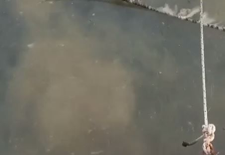 VIDEO: ispust fekalija u more u blizini Mandrača – tko god je, svinja je