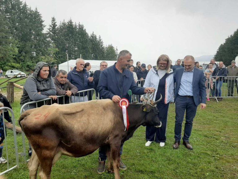 Šampionka iz Konavala najbolja je autohtona krava Hrvatske, Vidak dobio još dvije nagrade