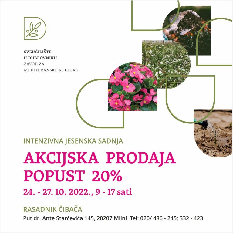 Prigodni jesenski popusti u Rasadniku Čibača