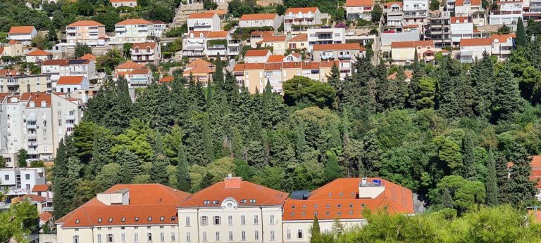 Hoće li investitor zatražiti procjenu stabala na lokaciji izgradnje zgrade u Šipčinama?