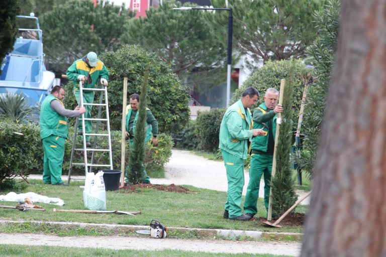 Turistička zajednica zasadila stabla u parku na Batali