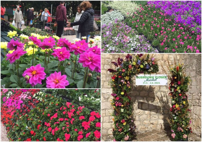 Počeo je cvjetni tjedan u Dubrovniku, sutra se u Gružu otvara “Ambulanta za biljke”