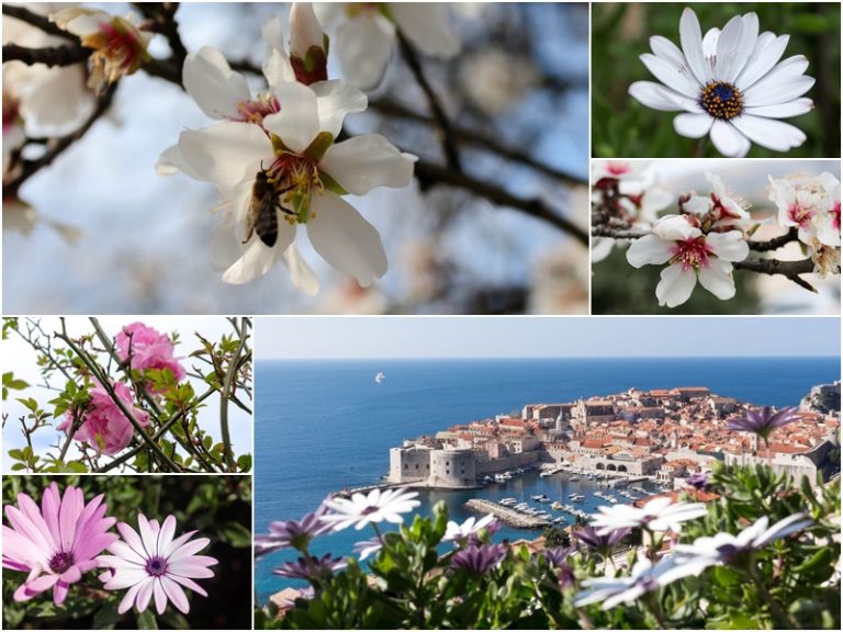 FOTO: Nek´vas ovotjedna kiša ne zavara, proljeće je tu!
