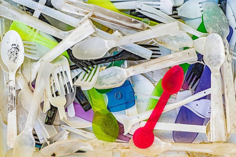 WWF poziva na globalnu zabranu štetnih i nepotrebnih jednokratnih plastičnih proizvoda