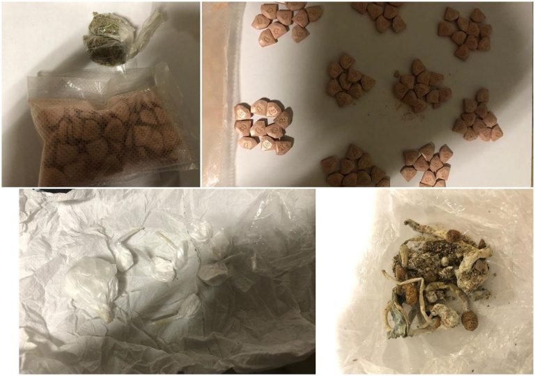 Policija kod 23-godišnjaka na plaži pronašla različite vrste droga, više puta je kazneno i prekršajno prijavljivan