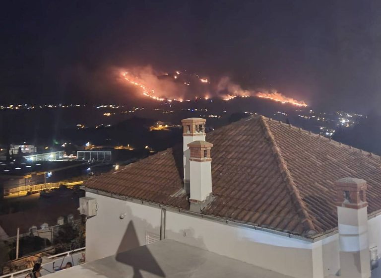 Požar u Župi dubrovačkoj je lokaliziran, izgorjela površina od 500 hektara
