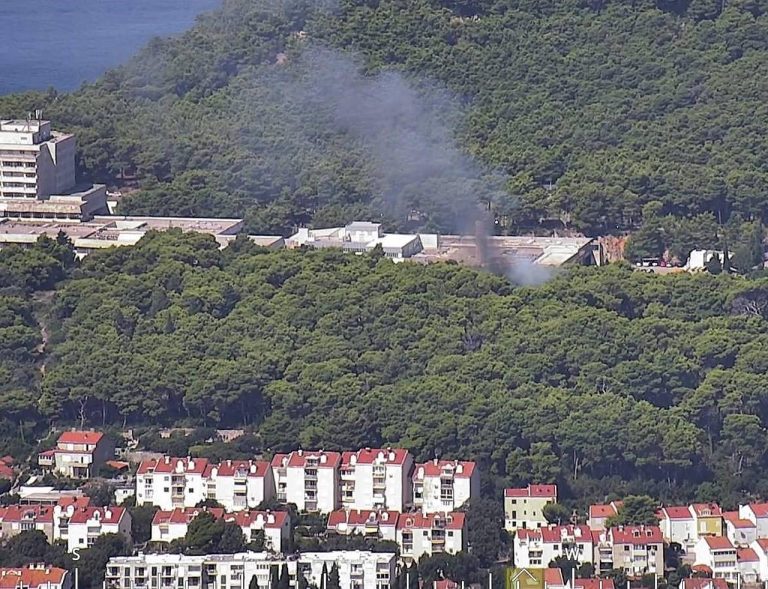 FOTO: Brzom intervencijom Dubrovačkih vatrogasaca ugašen je požar u gustoj borovoj šumi poviše  Hladnice