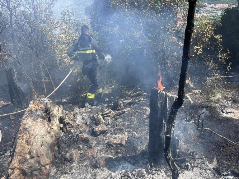 Požar u Čibači brzo ugašen, opreza nikad dosta