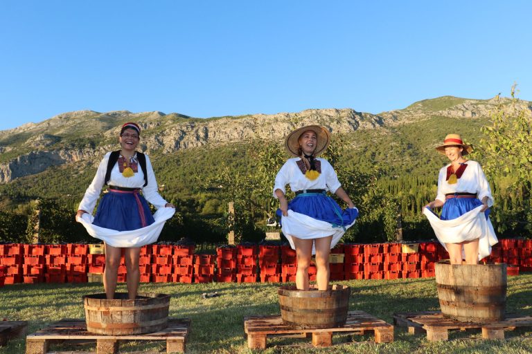 OVIH JE SEDAM PROJEKATA iz naše županije prijavljeno za nagrade “Suncokret ruralnog turizma Hrvatske”