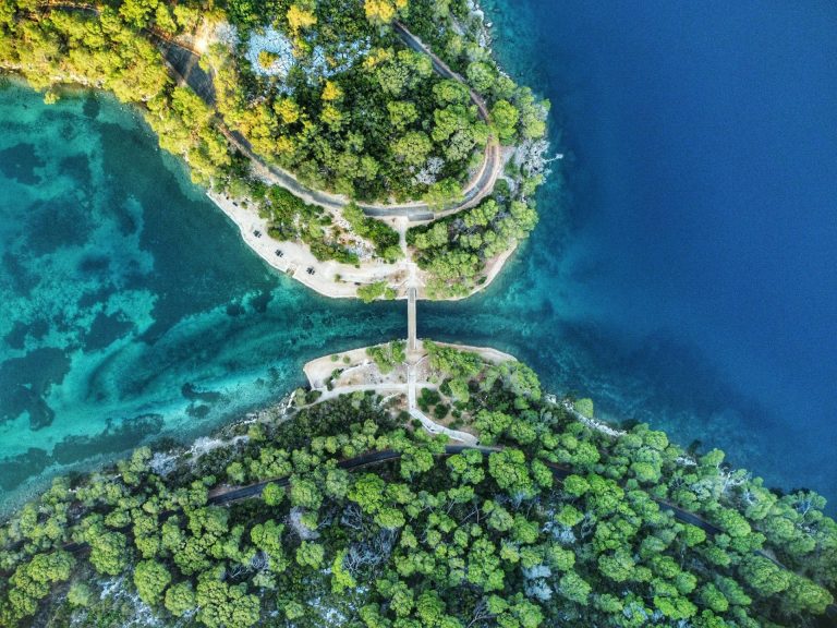 Šampionski “Veliki zlatni suncokret” stiže na Mljet!