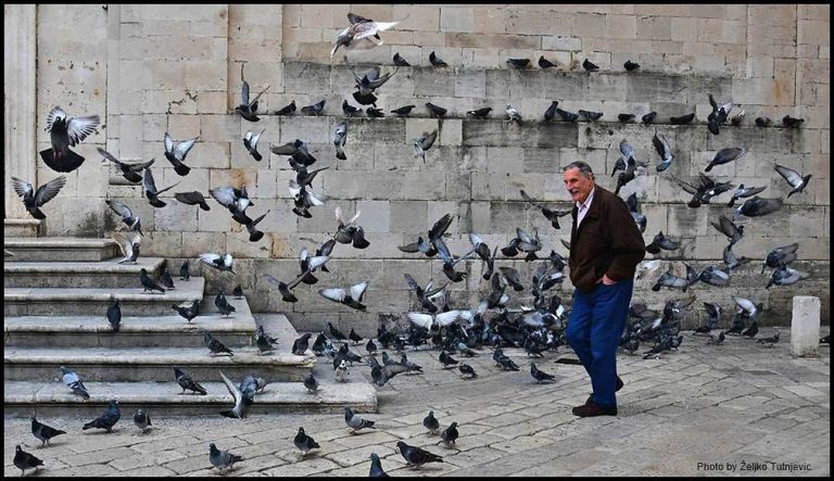 FOTO PRIČA: Dunda Antuna Surjana Tutanj je prije 5 godina snimio na isti dan i u istu uru ispred Katedrale, a jučer mu je tamo održana zadušnica