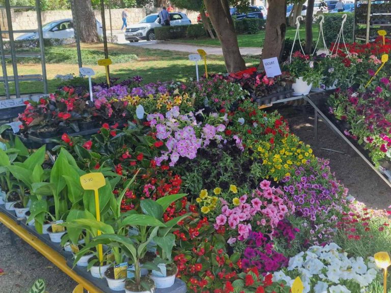 DUBROVNIK FLOWER MARKET Sajam cvijeća u gruškom parku, radionice Dubravke Tullio i Kristine Skvrce, zanimljiva tematska vođenja