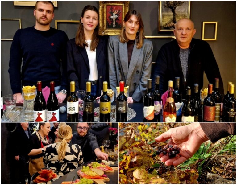 Destinacija Pelješac: doživljaj vrhunskih vina i gastronomskih užitaka